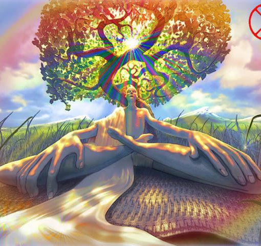 полное внимание психонетика деконцентрация